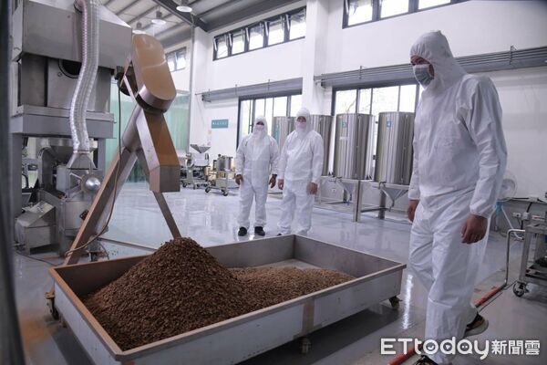 ▲花蓮縣油茶栽培面積約268公頃,為全國之冠並於111年率先建立油茶籽評鑑制度,從源頭把關品質。(圖/花蓮縣政府提供,下同)