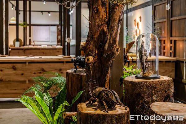 ▲▼《森林。家|來自森林の美好生活展》以「住在森林裡的家」為發想,結合本土林業復育成果。(圖/花蓮分署提供,下同)