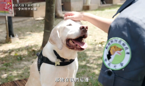 退役工作犬。(圖/農業部提供)