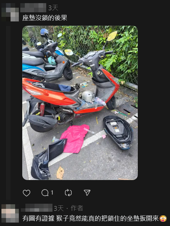 ▲▼壽山動物園整排機車「插一根樹枝」 神秘儀式竟真的能防猴。(圖/翻攝自Threads)