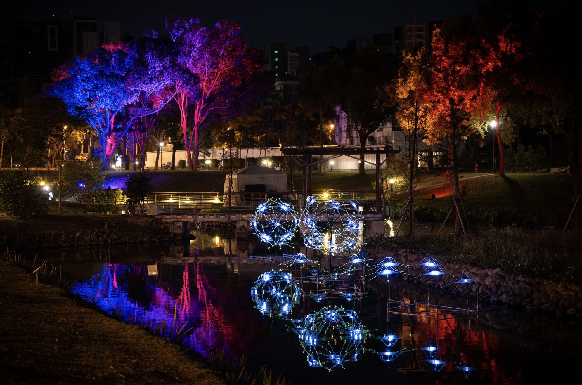 ▲2025東興圳光藝節 一閃一閃亮晶晶。(圖/主辦方提供)