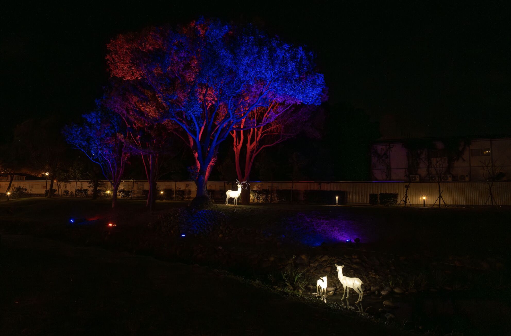 ▲2025東興圳光藝節 一閃一閃亮晶晶。(圖/主辦方提供)