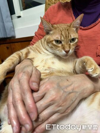 ▲。(圖/Threads@hsing_ying_tsai提供,請勿隨意翻拍,以免侵權。)