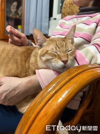 ▲。(圖/Threads@hsing_ying_tsai提供,請勿隨意翻拍,以免侵權。)