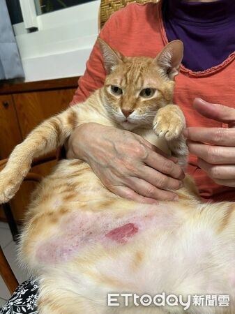 ▲。(圖/Threads@hsing_ying_tsai提供,請勿隨意翻拍,以免侵權。)