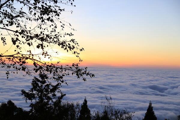 ▲▼阿里山迎曙光。(圖/阿里山賓館提供)