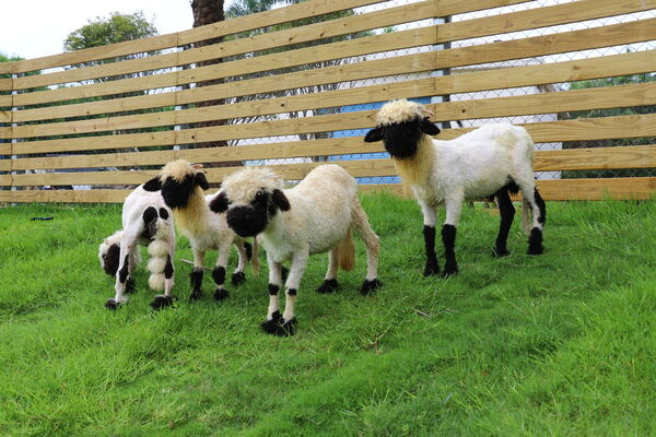 ▲麗寶樂園內全新「美樂地親子農場」即日起試營運,至1月22日前,樂園遊客能免費入場體驗。(圖/業者提供)