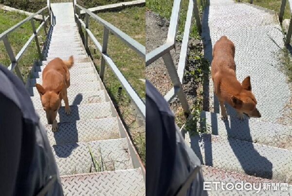 ▲。(圖/有點毛毛的/凃景汶提供)