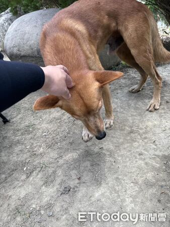 ▲。(圖/有點毛毛的/凃景汶提供)