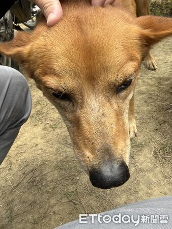 ▲。(圖/有點毛毛的/凃景汶提供)