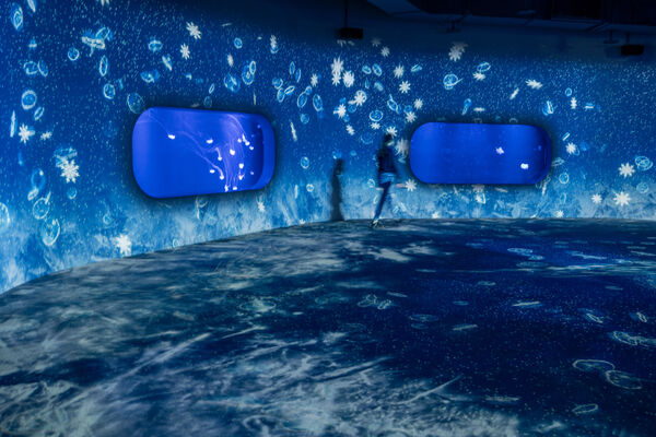 ▲山谷燈光節,台中海洋館的水母區。(圖/台中市觀旅局提供)