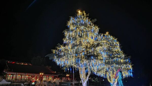 ▲兩座28公尺高聖誕樹矗立梨山賓館前,將在18日正式點燈。(圖/梨山賓館提供)