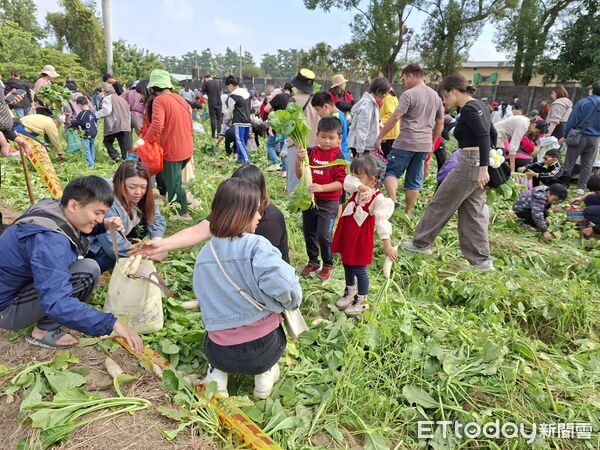 ▲▼ 114民雄花海與火車相遇 蹦出一場愛的火花 。(圖/民雄鄉公所提供)