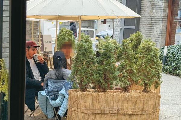 低調煲愛穩了/獨家!刪光網路足跡獲信任 阮經天韓國探視女友戀情穩