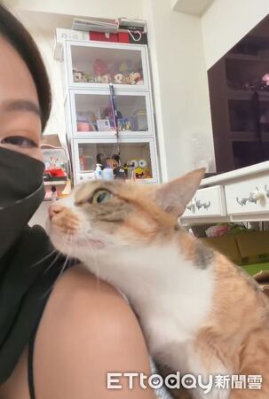 ▲。(圖/Threads@i_have7cats提供,請勿隨意翻拍,以免侵權。)