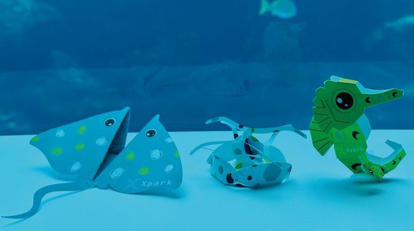 ▲Xpark推出新春《海洋摺學家作品展》