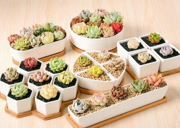 ▲桃竹苗分署帶領18家庇護工場辦理公益市集