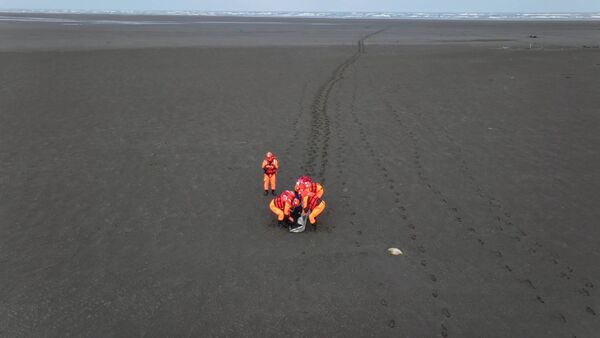 ▲彰化伸港海域釣魚台中市一名警務員溺水身亡。(圖/消防提供)
