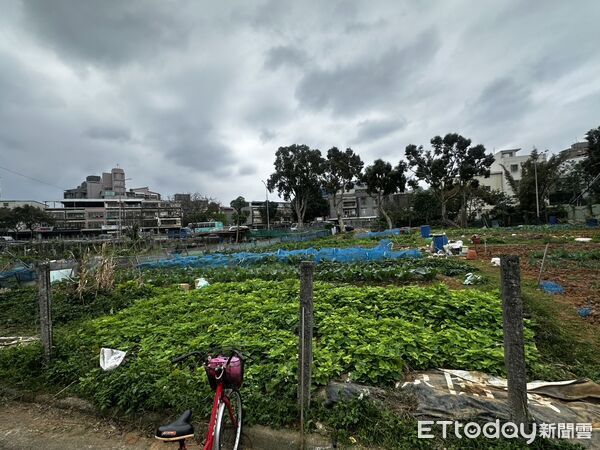 ▲▼新北林口菜園砍人案。(圖/記者陳以昇翻攝)