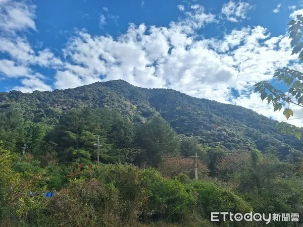 ▲▼ 。(圖/記者李陳信得攝)