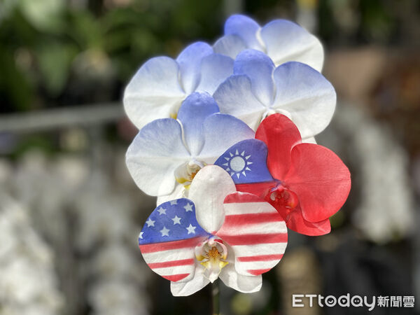 ▲▼關稅貿易,蘭花。(圖/記者林挺弘攝)