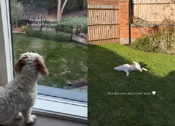 ▲。(圖/翻攝自TikTok/@miff_lifts)