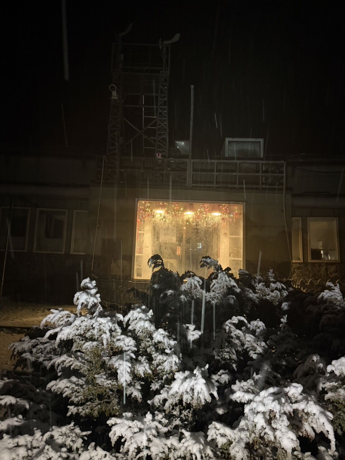 ▲▼玉山1220瑞雪。(圖/中央氣象署)