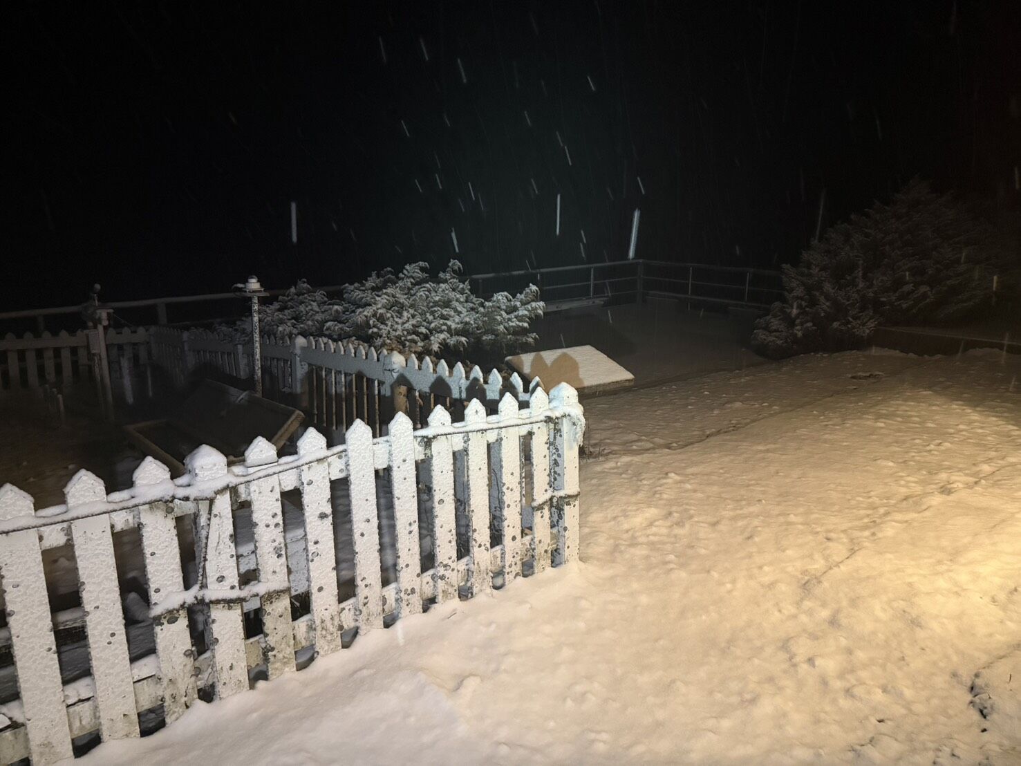 ▲▼玉山1220瑞雪。(圖/中央氣象署)