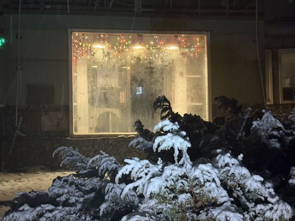 ▲▼玉山1220瑞雪。(圖/中央氣象署)