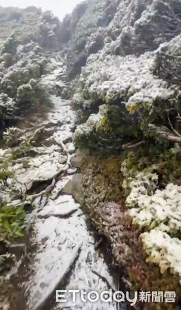 ▲▼ 。(圖/記者李陳信得攝)