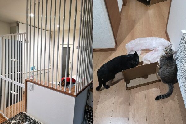 ▲。(圖/翻攝自X/@Mewchannikki)