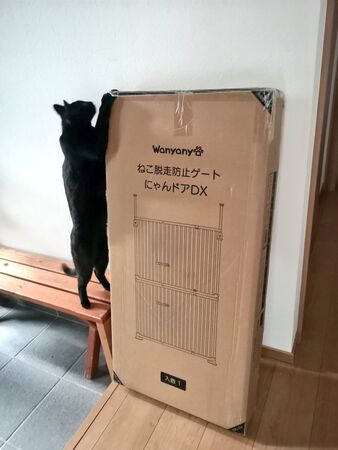 ▲。(圖/翻攝自X/@Mewchannikki)