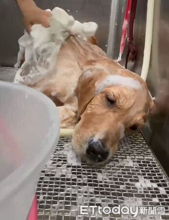 ▲。(圖/Threads@s_r_h0607提供,請勿隨意翻拍,以免侵權。)