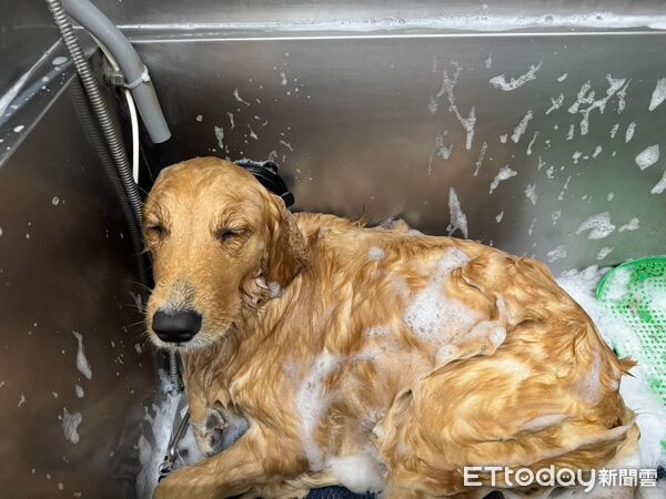 ▲。(圖/Threads@s_r_h0607提供,請勿隨意翻拍,以免侵權。)