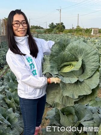 ▲立委林國成冬至南下台南永康,與林乃立一同走入永康基層區發送高麗菜,與鄉親分享補冬心意,現場氣氛溫馨。(記者林東良翻攝,下同)
