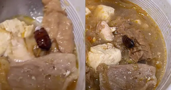民眾吃林聰明沙鍋魚頭吃到蟑螂。(圖/翻攝Threads/@yu_chi_07)