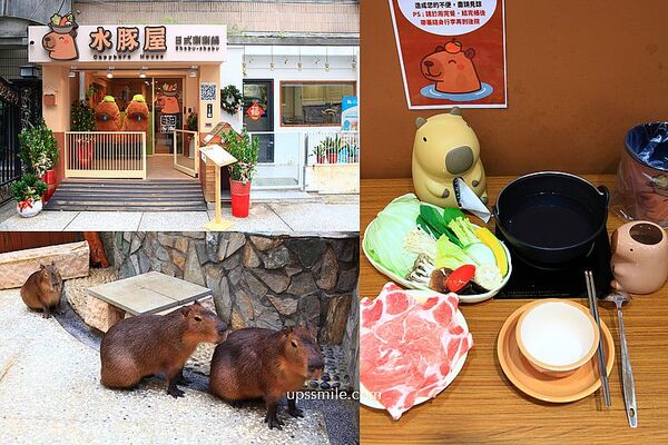 ▲▼台北信義區日式涮涮鍋「水豚屋」,寵物友善餐廳。(圖/部落客萍子提供)