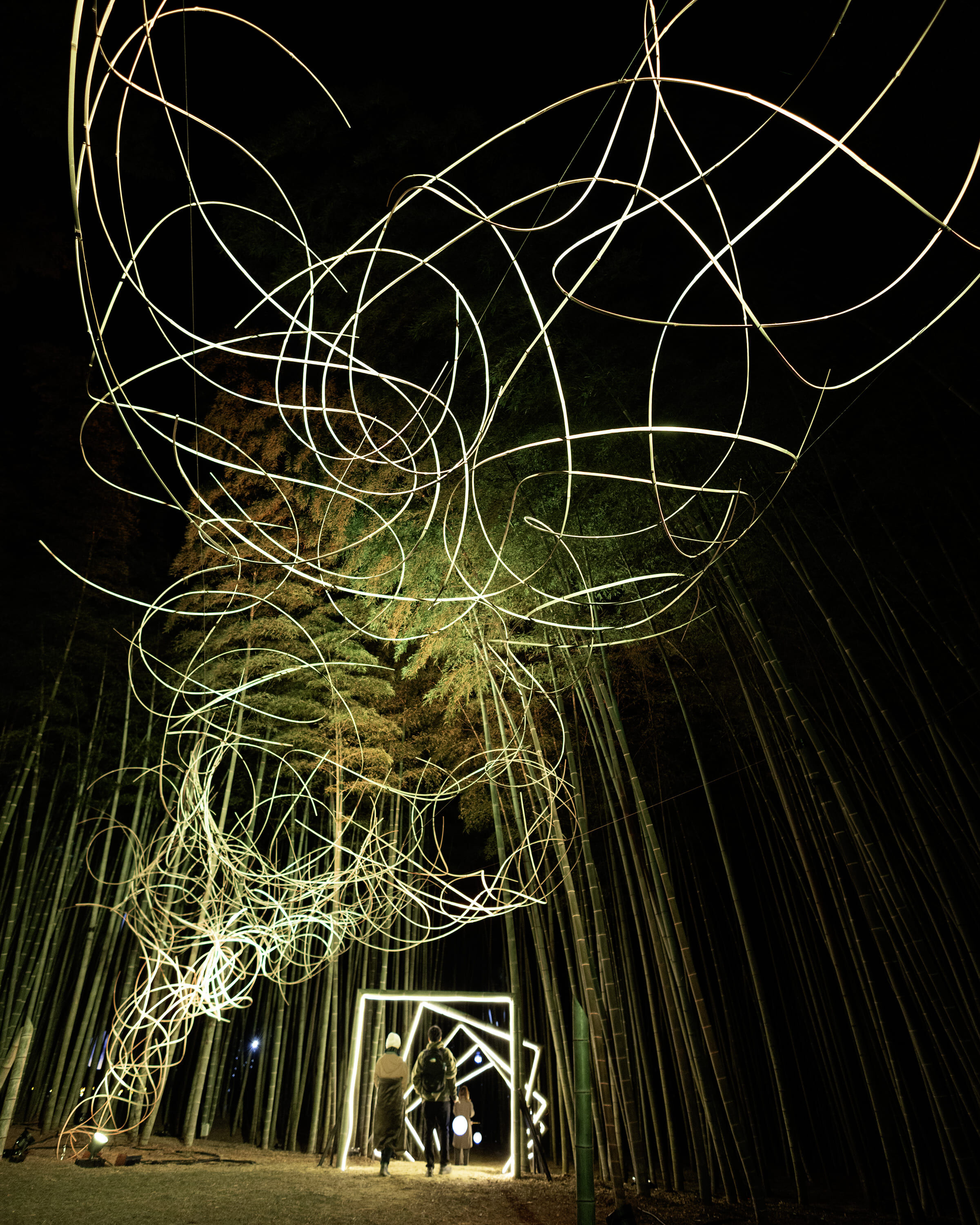 ▲▼日本,栃木縣,旅遊,足利花卉公園,若山農場,鬼怒川GRAND HOTEL,觀光,草莓,和牛。(圖/業者提供)