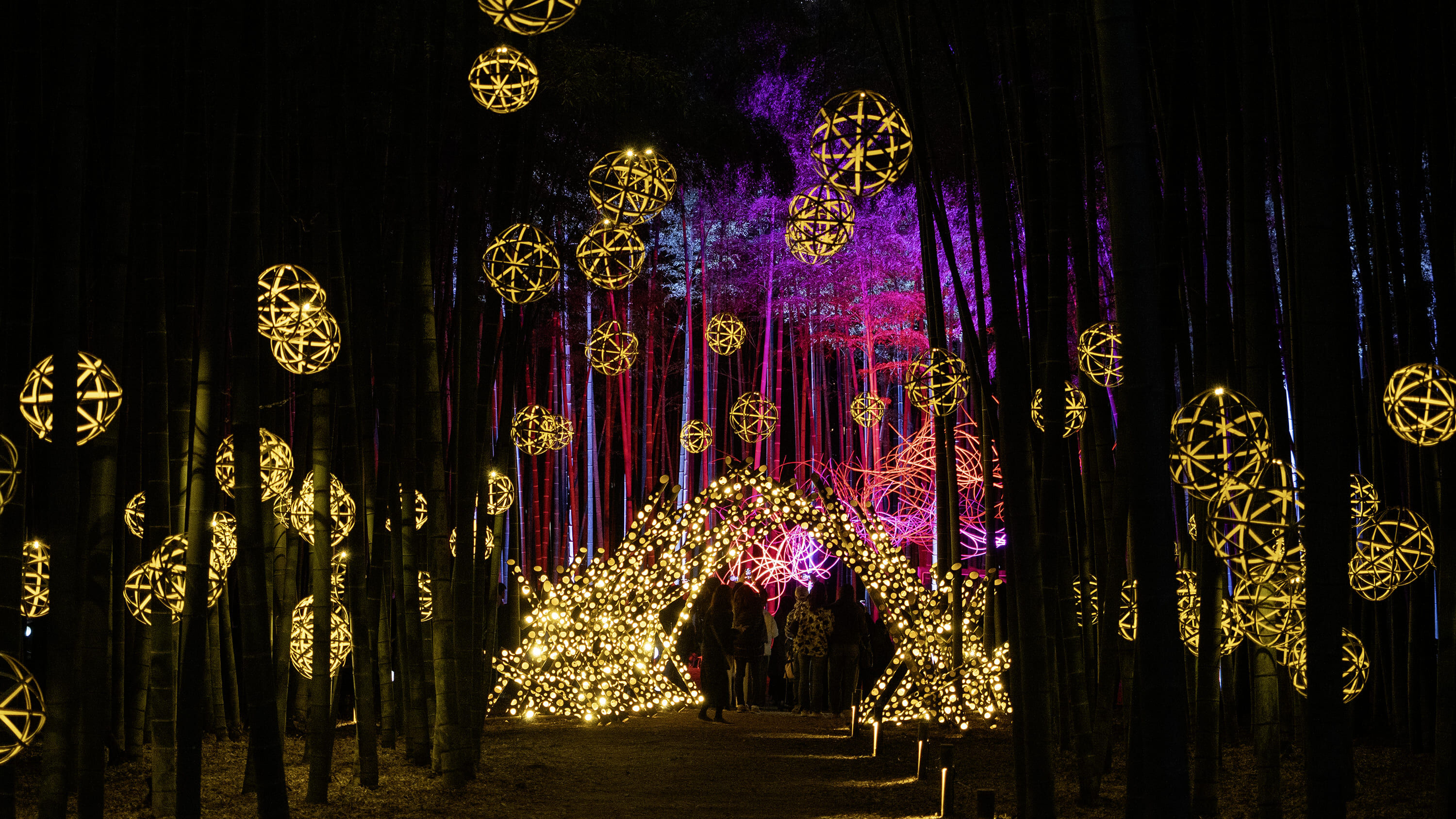 ▲▼日本,栃木縣,旅遊,足利花卉公園,若山農場,鬼怒川GRAND HOTEL,觀光,草莓,和牛。(圖/業者提供)