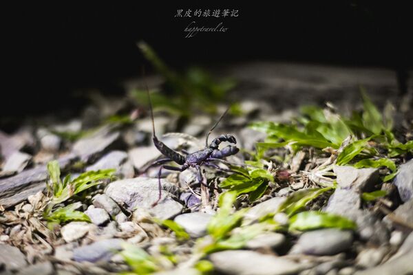 ▲▼台東大武。(圖/部落客黑皮的旅遊筆記授權提供)