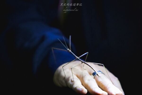 ▲▼台東大武。(圖/部落客黑皮的旅遊筆記授權提供)