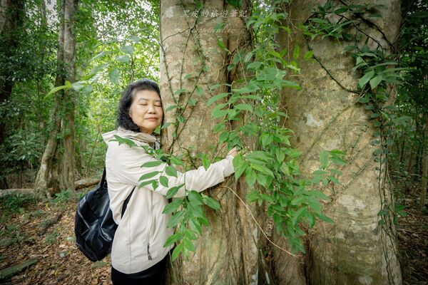 ▲▼台東大武。(圖/部落客黑皮的旅遊筆記授權提供)