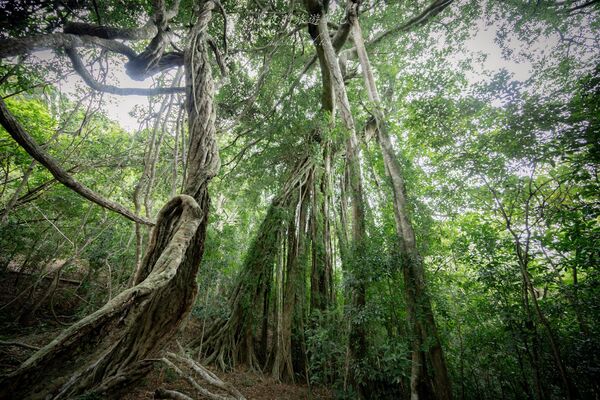 ▲▼台東大武。(圖/部落客黑皮的旅遊筆記授權提供)
