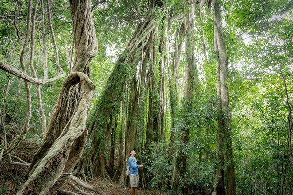 ▲▼台東大武。(圖/部落客黑皮的旅遊筆記授權提供)