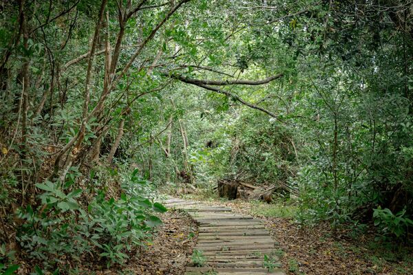 ▲▼台東大武。(圖/部落客黑皮的旅遊筆記授權提供)