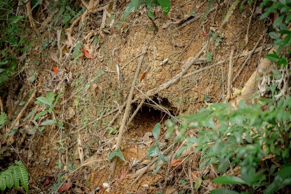 ▲▼台東大武。(圖/部落客黑皮的旅遊筆記授權提供)
