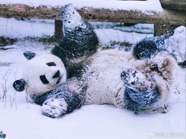 ▲▼北京降「糖霜雪」。(圖/翻攝自微博)