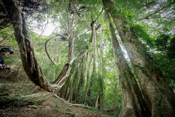 ▲▼台東大武。(圖/部落客黑皮的旅遊筆記授權提供)