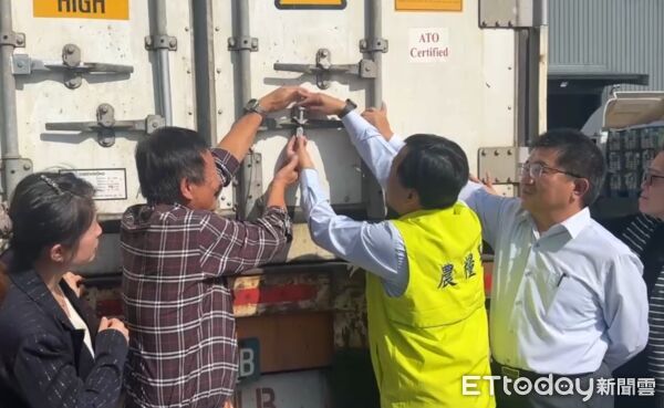 ▲農糧署輔導雲林高麗菜出口,今日進行封櫃儀式。(圖/記者游瓊華翻攝)