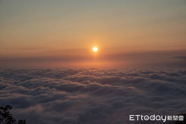 ▲墾丁國家森林遊樂區2月31日推出「我的墾森植感手札-墾森植物特展」。(圖/林業及自然保育署屏東分署提供)